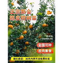 �������̘����Ƥ��С��̽۴�t��ɰ�����ָ̲�֦�̴�������