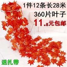 ��֦�٘��~�t�����ٗl�����ϻ��Ƶ����p�@�ܵ������b�