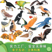 �羳���惺ͯ�����w���B���ģ���r�B�����L�^�Q�������@�[��