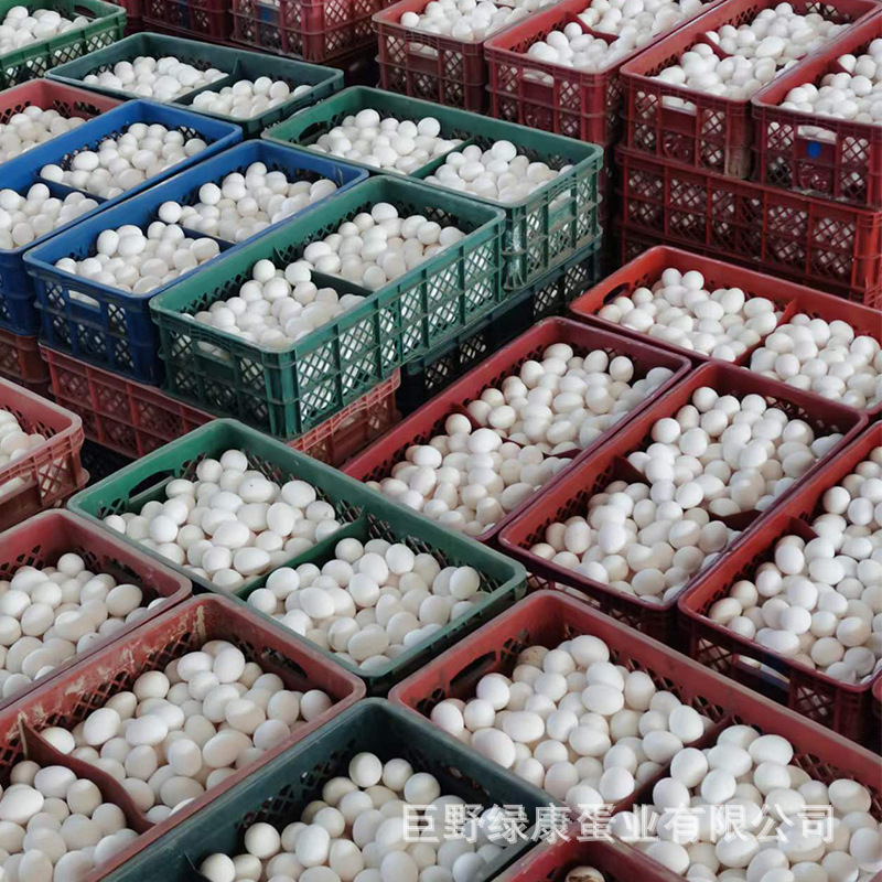 微信图片_202208311137302