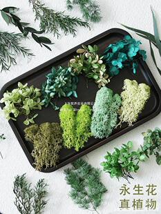 �Gɫ������ֲ���ȫ�ɻ�DIY���Ͻ���ˮ����ǧ�ӽ��ֹ����։�����