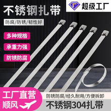 304iʽPS4.6~19O̶ 䓎