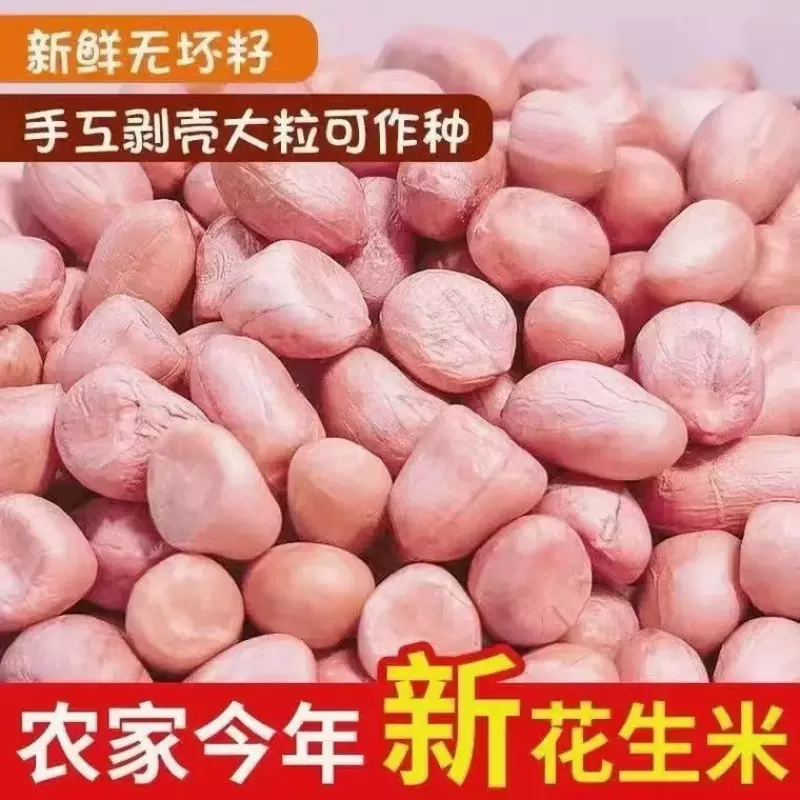 生花生批发现剥新花生米新货粉皮米不带壳榨油白沙花生仁跨境