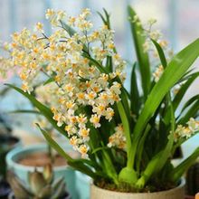 ���� �����m�����m�����ԝ��� ����������m��ˮ�m�����̨