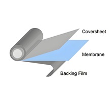 �|�ӽ��QĤNafionĤ���ȼ��늳�ˮ�ֽ�Ĥ���x�h�������tș���I��