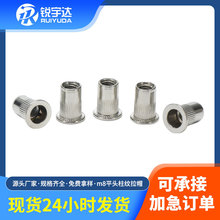 ���Ʋ��P��T��ĸ ƽ�^�Q�y�L�����T��ĸM8С���^��Ҏ�����T��ñ