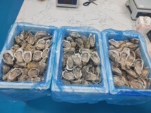 �����뚤���������������ĵϠ���߅�[�������������