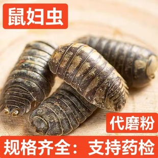 ��D�x ��ș�����l��ʭ �����x ���x �Ƀ��o�s ֧���؛ �н�ӆ��