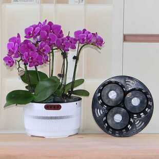 2.8��3.0���m����3-4�ú����mƴ�M����ظ������͸��W��������