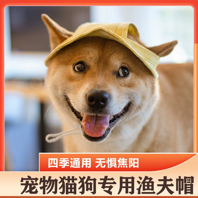 Солнцезащитный козырек для кошек и собак, шляпа против удушения, защита от потери ушей, регулируемая веревочная пряжка, рыбацкая шляпа, партия товаров для домашних животных