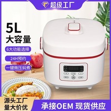 家用宿舍智能迷你電飯煲煲粥煮湯電蒸鍋5升900功率電煮鍋工廠批發