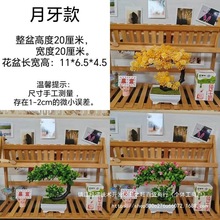 ��Ʒ�ҕ���ƙ��bٻ����b����Gֲ����С�����辰�ҾӔ[�����l