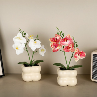 �p�ݸ߶˺����m���滨�پGֲ���Ԕ[�O�͏d�҃ȷ����辰�b�Ʒ�[��