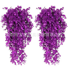�羳�ٻ��ȼ����ٗl�ڒ����Gֲ�ّҒ�ֲ�������Ҿӑ����b�