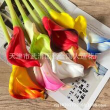 ָPURɏߙn滨͏d[Yb羳QGֲٻ