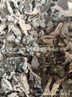 ��ș�������~��ș�İױ��~���L�~������������ă����I���N��ș��