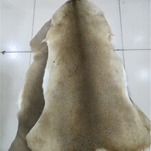 鹿毛 整张鹿狍毛皮 飞钓飞蝇绑制材料 路亚毛钩绑制