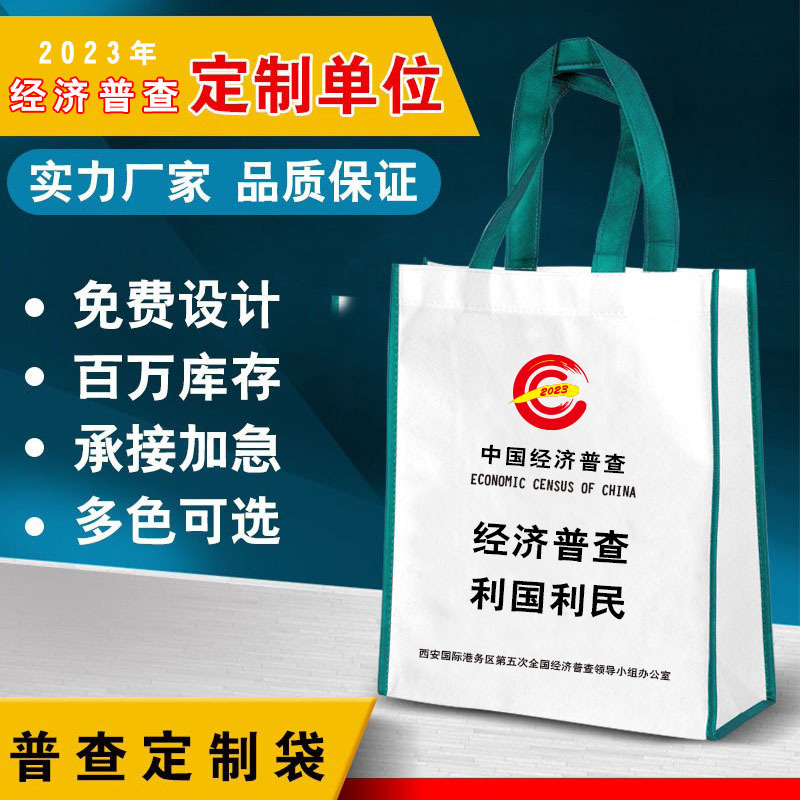 经济普查2023无纺布袋棉布袋定制环保袋立体购物袋车缝彩色覆膜袋