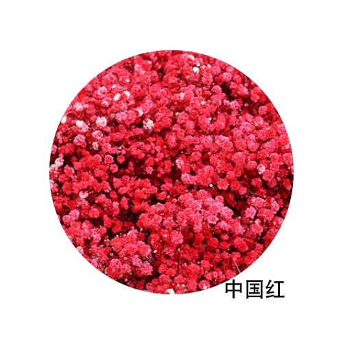 ネイルアートの乾いた花の永遠の命の満天の星の花束は顔の化粧の爪のアクセサリーの光を貼ることができます。|undefined