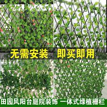 ����Gֲ��滨����sľ�ř�ͥԺ�̨����ڗU�o�ڻ��@�h�ʇ���