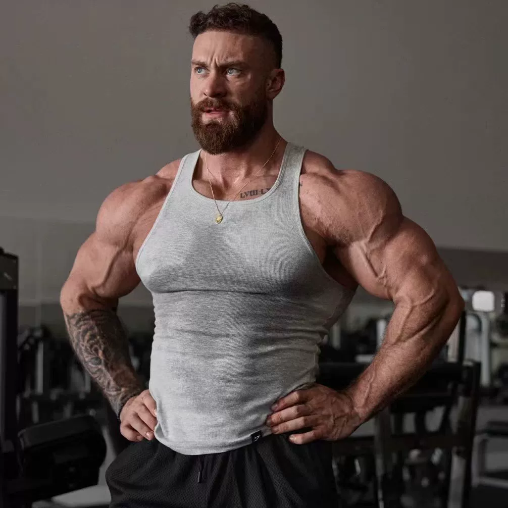 Новые популярные спортивные штаны Chris в стиле Gymshark с ребристой эластичной тканью, хлопковой отделкой и мускулистым кроем.