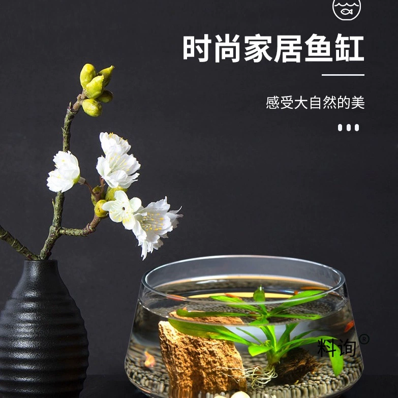 Стеклянный аквариум для гостиной, небольшой аквариум для черепахи, фэн-шуй, домашний настольный экологический аквариум, аквариум для золотых рыбок, стеклянный аквариум