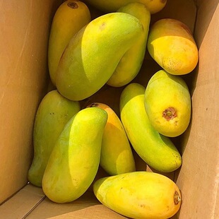 ��������â����â������������r�Fժˮ������â������һ������]