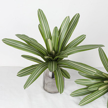 ������~�P��Gֲ����ֲ�����˽��҃��쾰���W�������ÔzӰ����