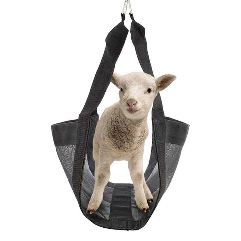 Слинг-весы Amazon для взвешивания маленьких животных, скота, перевозки домашних животных