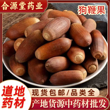 狗鞭果中药材 毛毛果 泡酒药材虎鞭果 凸型风流果 500g一件代发
