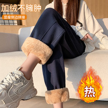 小脚运动裤女冬季加绒加厚小个子羊羔绒保暖防风束脚哈伦长卫裤子