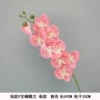 Короткая 9-ветвь фаленопсис (весенняя)