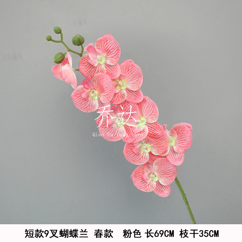 Short 9-prong phalaenopsis spring style