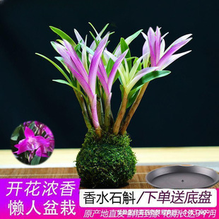 �Gֲ���Ի����߲ʻ�����ˮ��������_��ʯ���m�F��ˮ����Ʒ�҃�