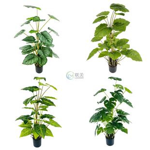 ���ͷ���Gֲ���� ������҃��쾰ֲ��٘� �Ҿ��b������پGֲ