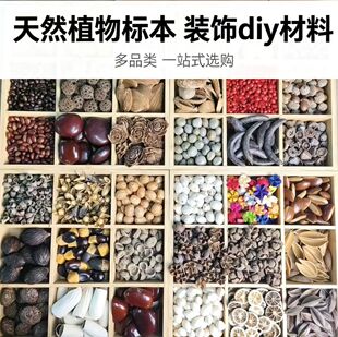 �}�ٶ��v�����ֹ����ϰ� DIY ���� ���N��������С���������Ĳ�