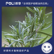 MR޲ͪηԭXԵ㾫HMʹ