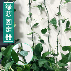 Green leaf green plant climbing wall fixed seamless household indoor vine plant hook storage organizer