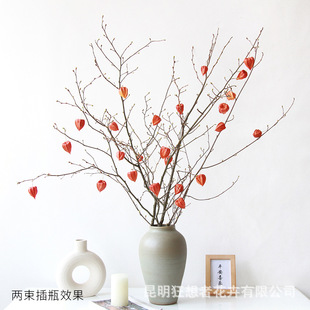 ����{����֦����������Ʒ�����������L�͏d�b��\�����m֦�ɻ�