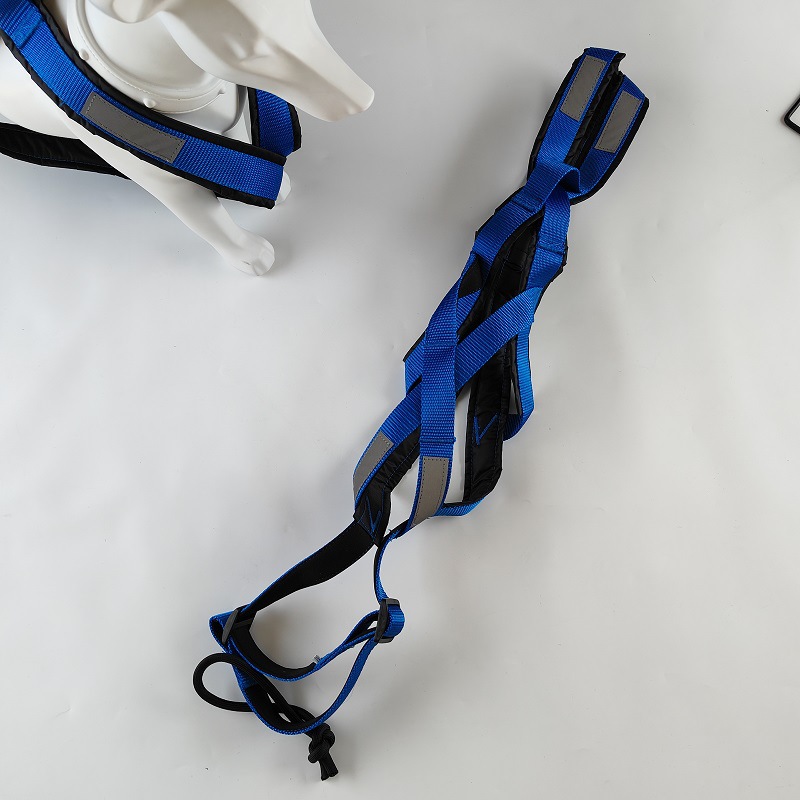 Harnais de traîneau d'extérieur pour chien d'entraînement de poids, Husky, Samoyède, laisse de transport pour snowboard_voghion.com