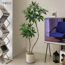 �lؔ�����Gɫֲ�����Դ��~��߶��p�ݷ���ֲ��Ԍ���L�͏d�b���