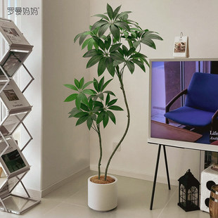 �lؔ�����Gɫֲ�����Դ��~��߶��p�ݷ���ֲ��Ԍ���L�͏d�b���