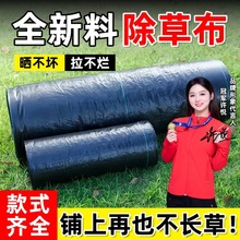 ���ͷ��ݲ����ݾW�������ù��@�����ڲݲ��w�ݵز��ڵ�Ĥ�r�Ì���