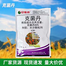 �˾�����������Ҙ�֬��ɳƤ����ù��݆�y���rș�������˾�����