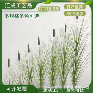 ����Gֲ������Ȕ�݆�֧��β��temu���R�d�羳�Ƶ��̈��쾰�b�