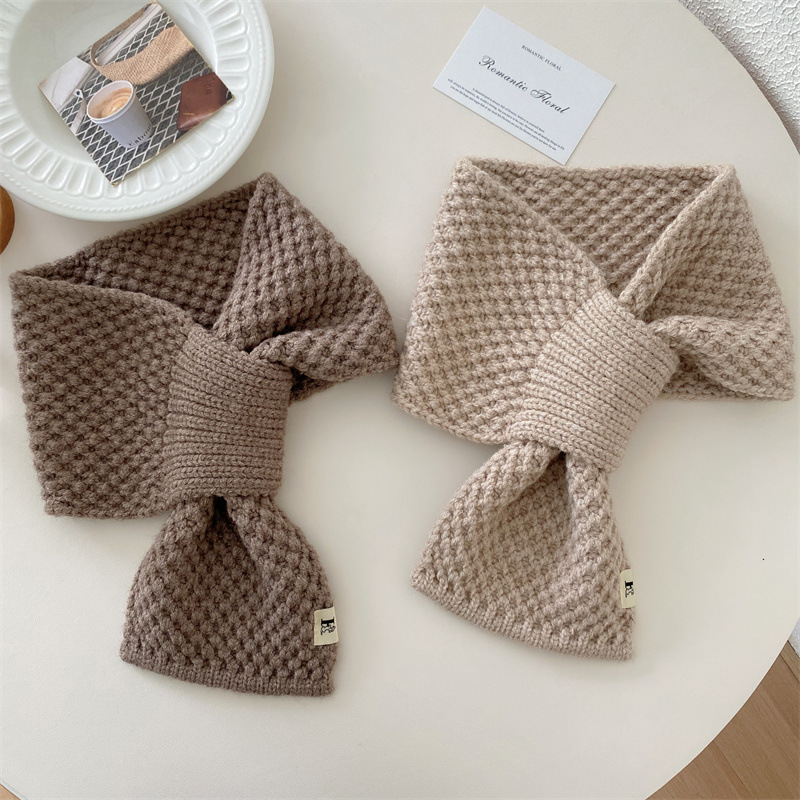 Solid Color Pattern Winter, Autumn, Autumn&Winter Season Women's Simple Style Korean Style Solid Color Polyester Scarf