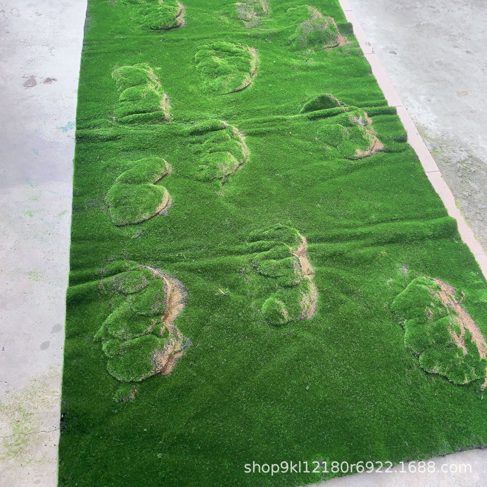 闪光草绿色草坪