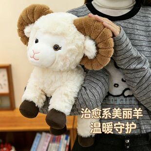 ��������С��ë�q��߹��а��ჺͯ���������ż�����ޔ[�����l