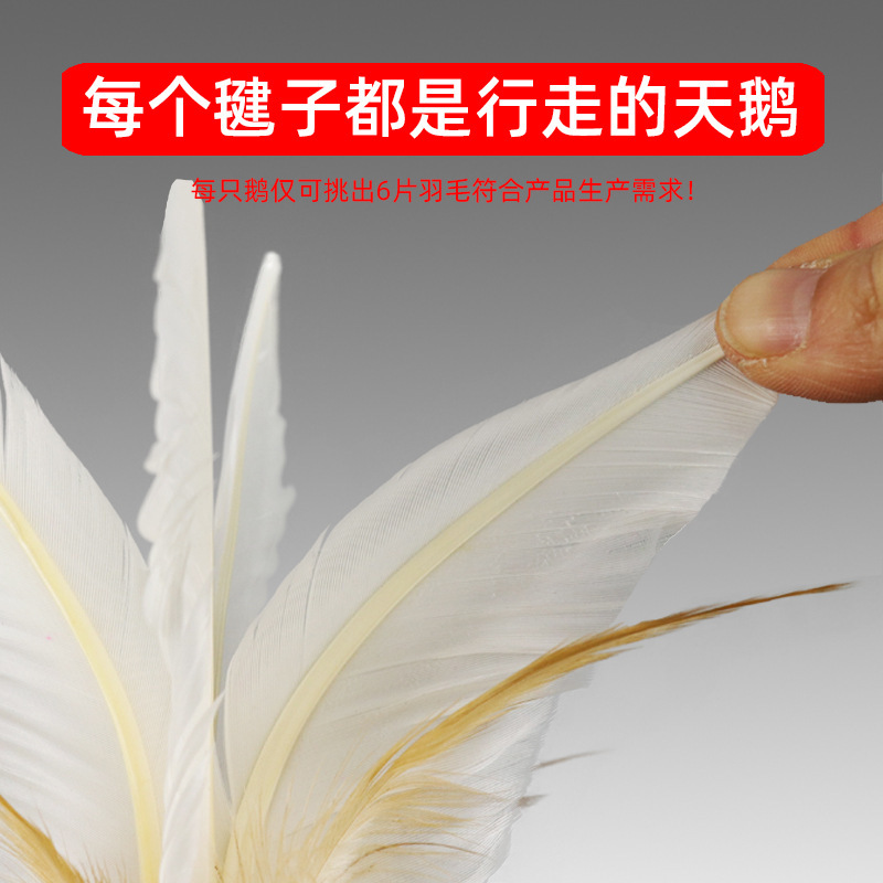 毽子运动专用成人毽球踢毽子键子耐踢比赛儿童小学生大白踺子批发|undefined