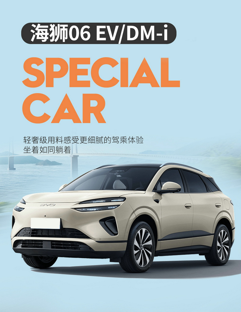 Custom-made perforated leather wear-resistant car seat cushion and full-cover seat cover for BYD Sea Lion 06EV/DMI